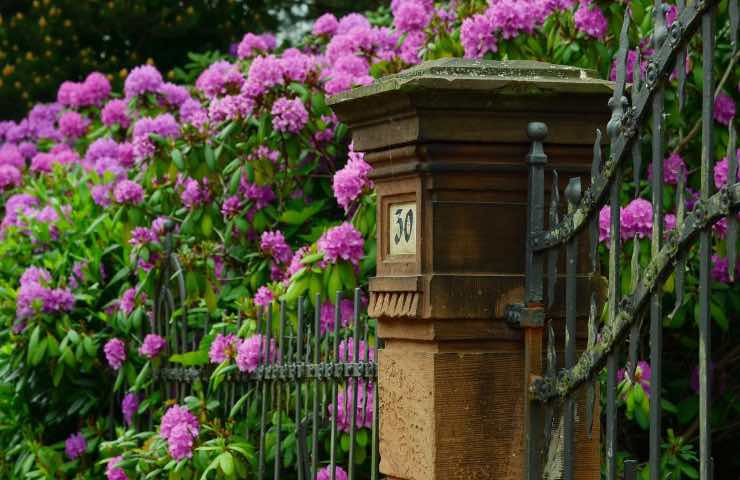 Bonus giardino da 1.800€: cosa fare per ottenerlo subito