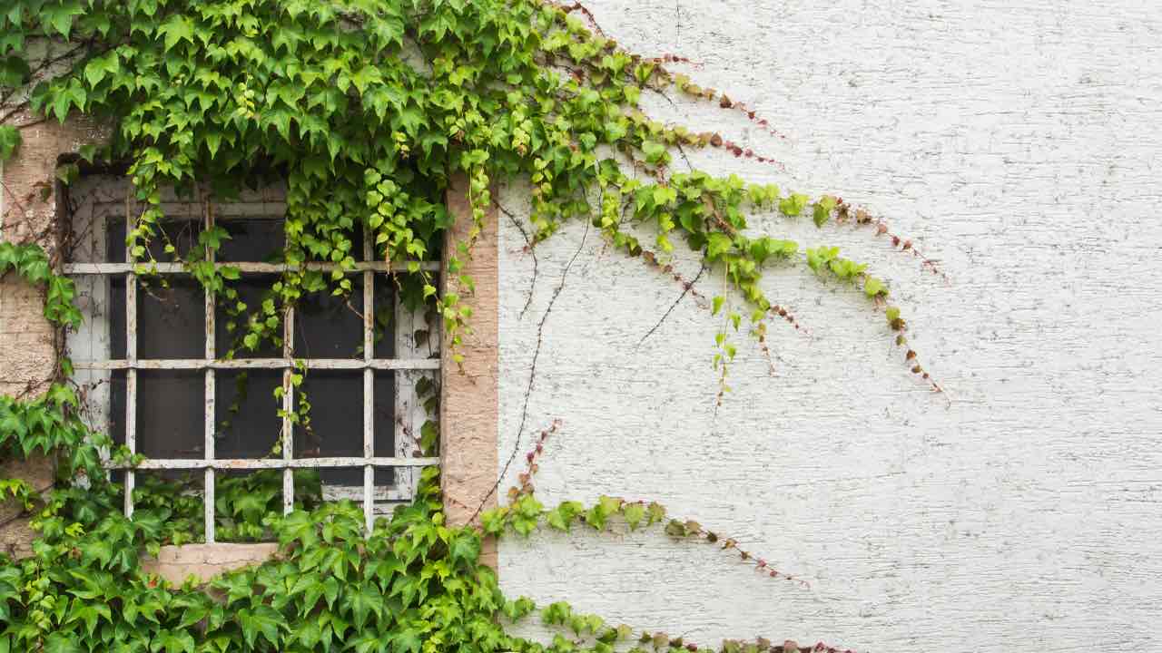 Chi ha questo fuori casa risparmierà soldi in bolletta