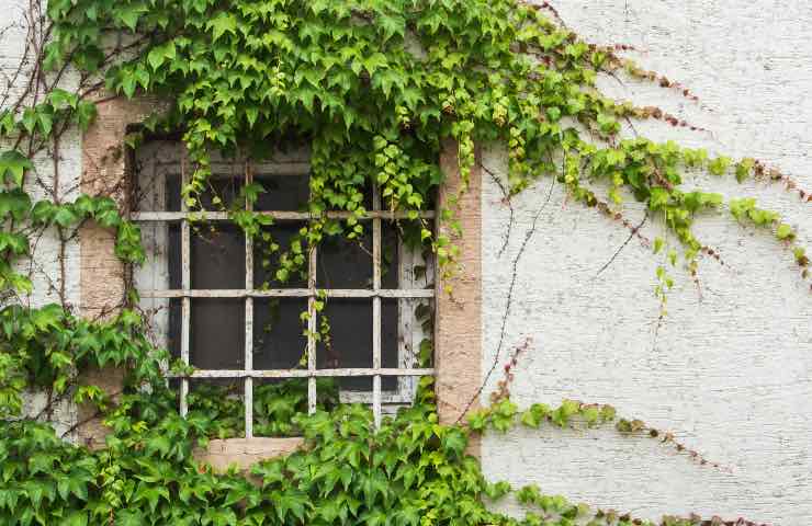 Chi ha questo fuori casa risparmierà soldi in bolletta