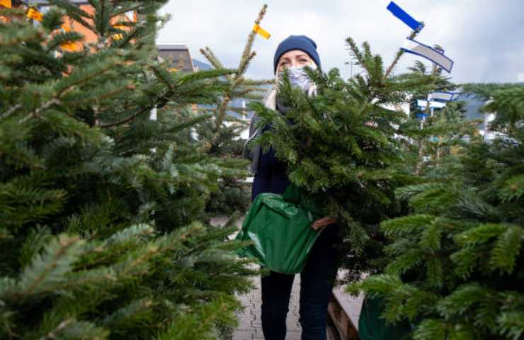 Albero di Natale naturale costo 