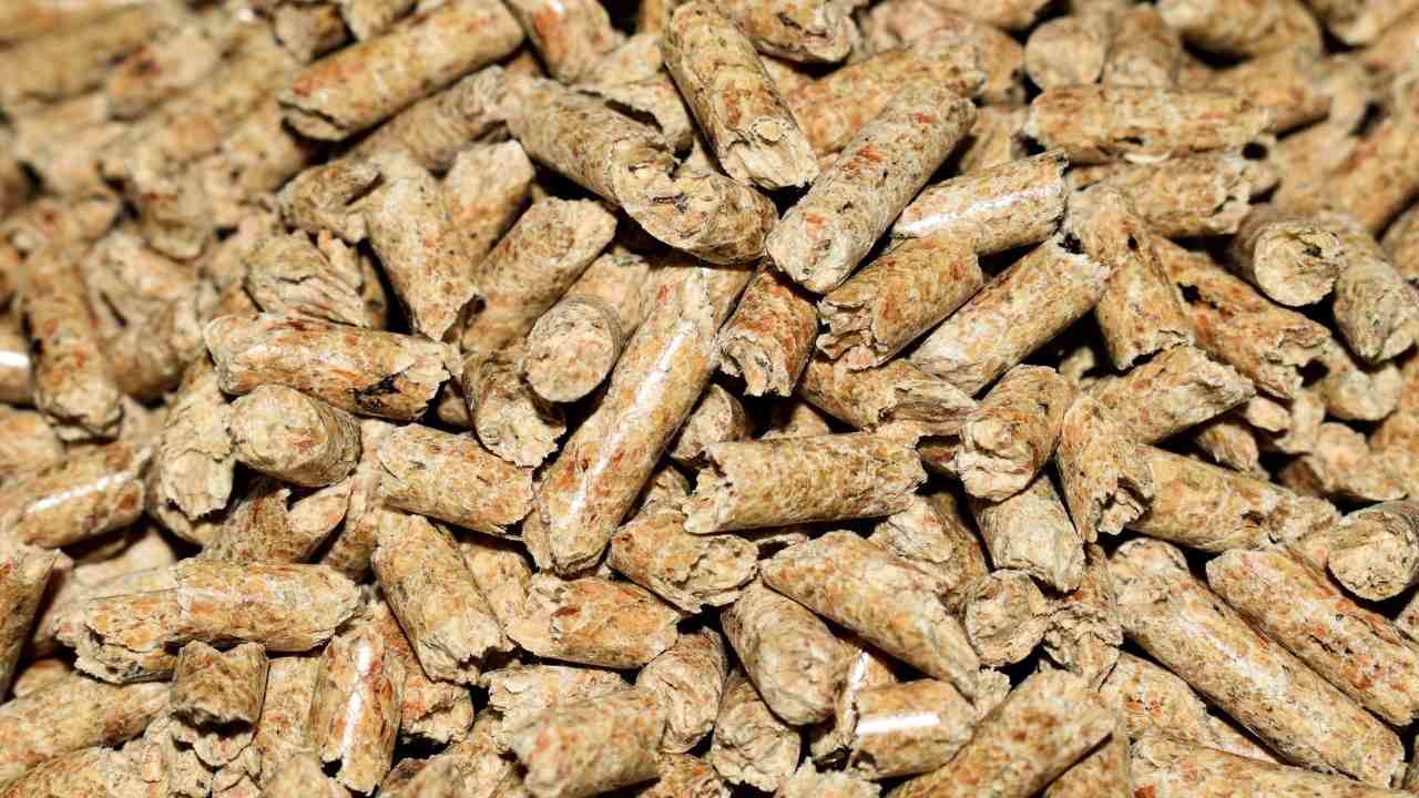 truffa pellet