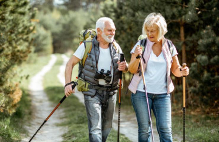 Pensionati viaggio a Natale