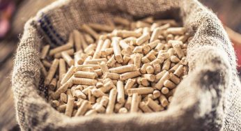 Come riconoscere un buon pellet (e risparmiare)