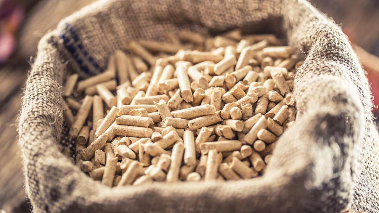 Come riconoscere il pellet di qualità