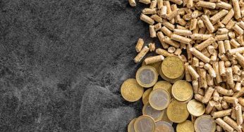 Pellet, così stanno truffando tante persone | Non cascateci