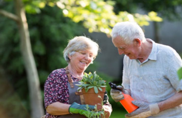 Pensionati giardinaggio attrezzi