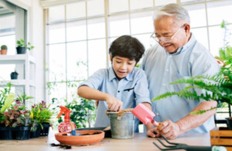 Pensionati giardinaggio attrezzi