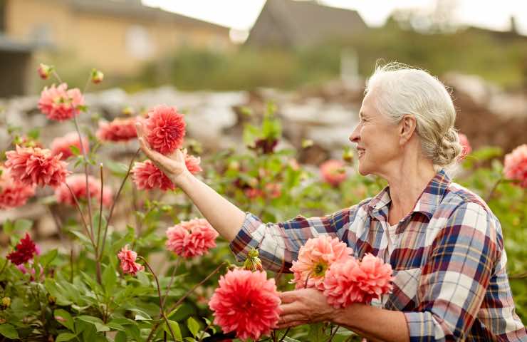 con un giardino la pensione si passa così