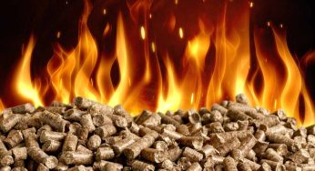 Compra stufa a pellet l’anno prossimo | Quanto mettere da parte