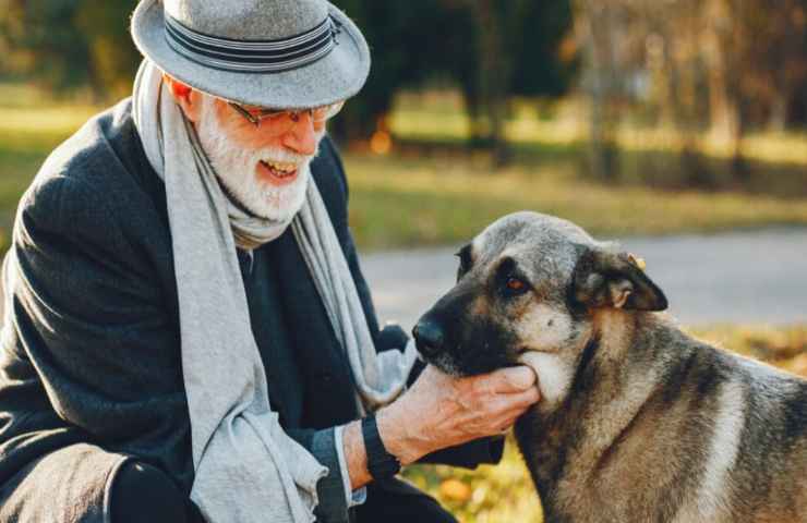 anziano animale domestico