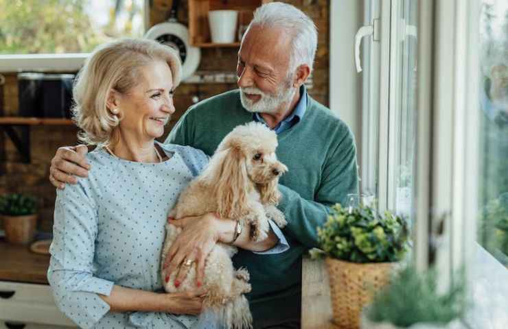 anziano animale domestico