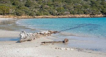 Spiagge libere: le migliori in Italia le trovi in queste località