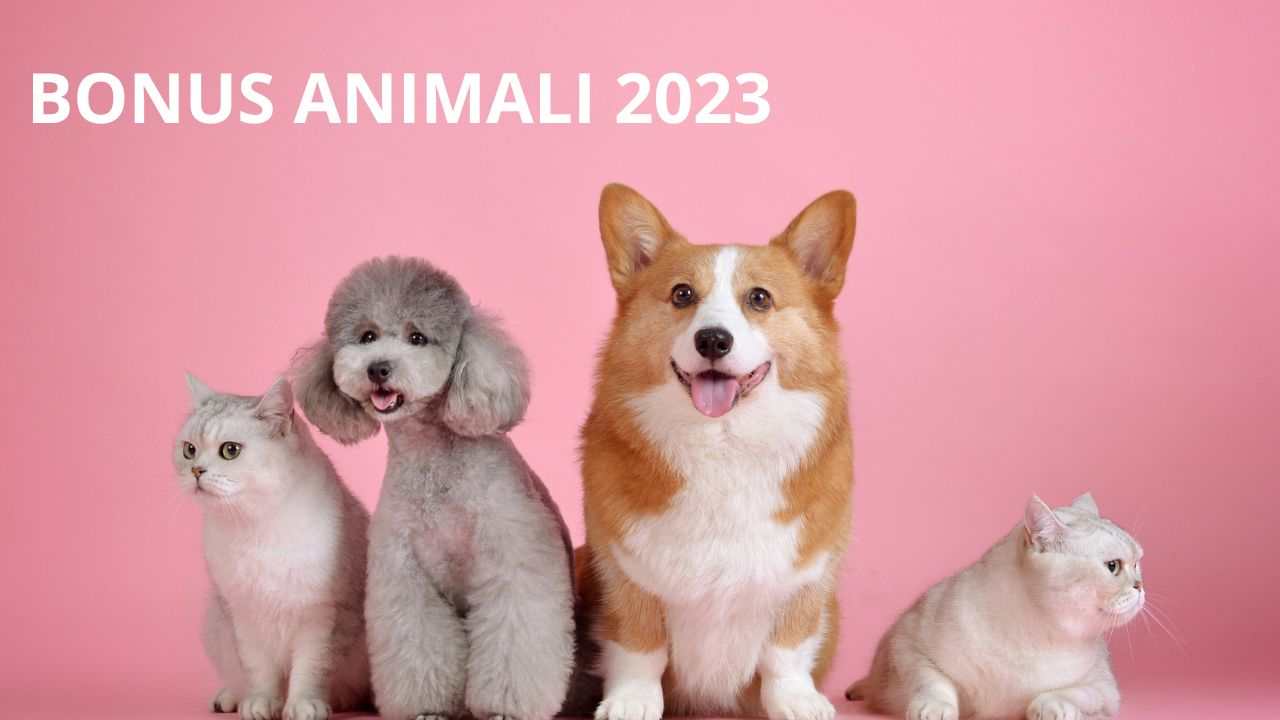 BONUS ANIMALI 2023