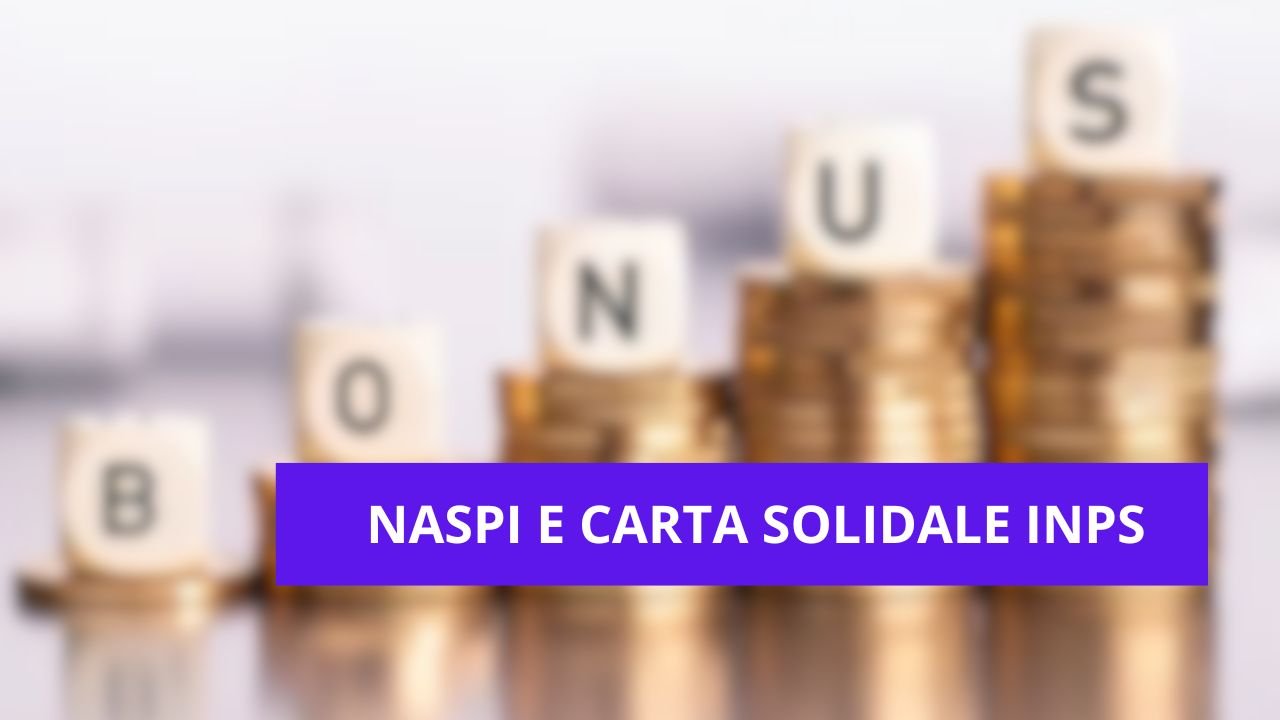 NASPI Carta solidale INPS